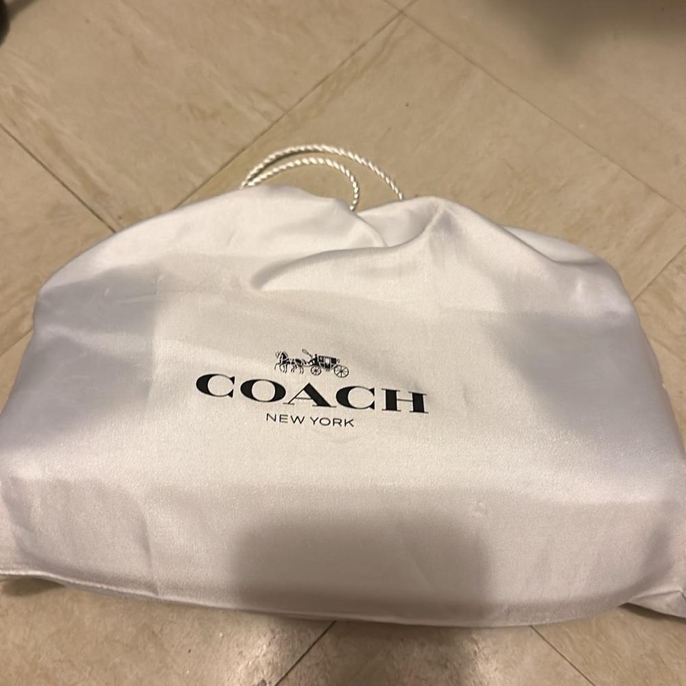 LIGHT BLUE LARGE SIZE COACH PILLOW TABBY - Picture 4 of 9